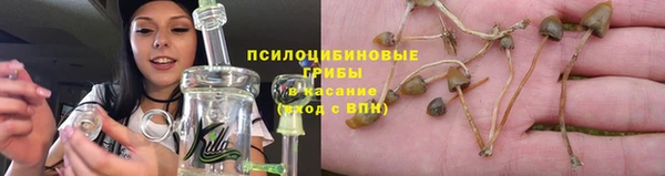 МДПВ Ладушкин