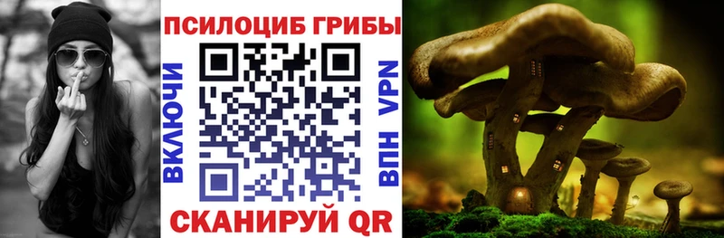 Псилоцибиновые грибы Psilocybine cubensis  Невьянск 
